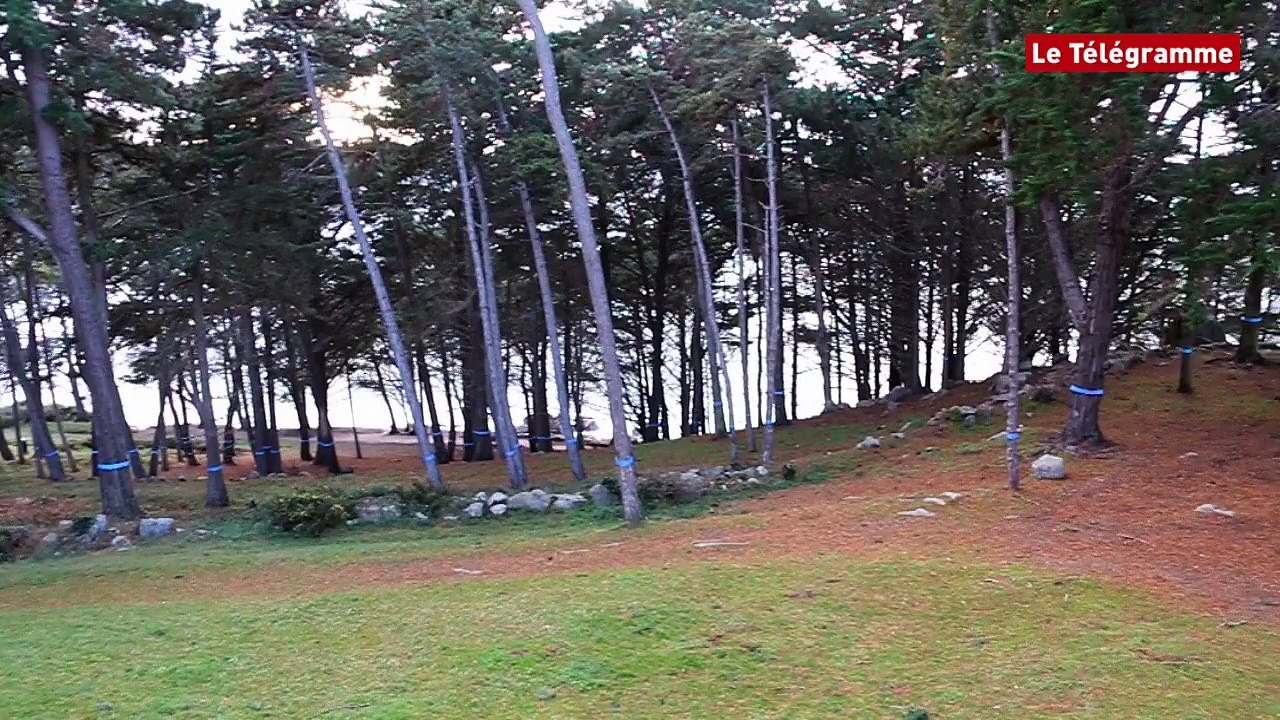 Trédrez-Locquémeau (22). 250 personnes disent non au racisme