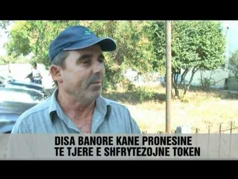 Pronat, dy fshatra të Fierit në konflikt - Vizion Plus - News, lajme