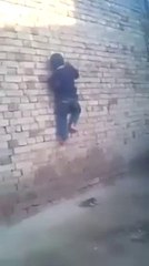 Pakistani Pathan Spider Man Funny Talent