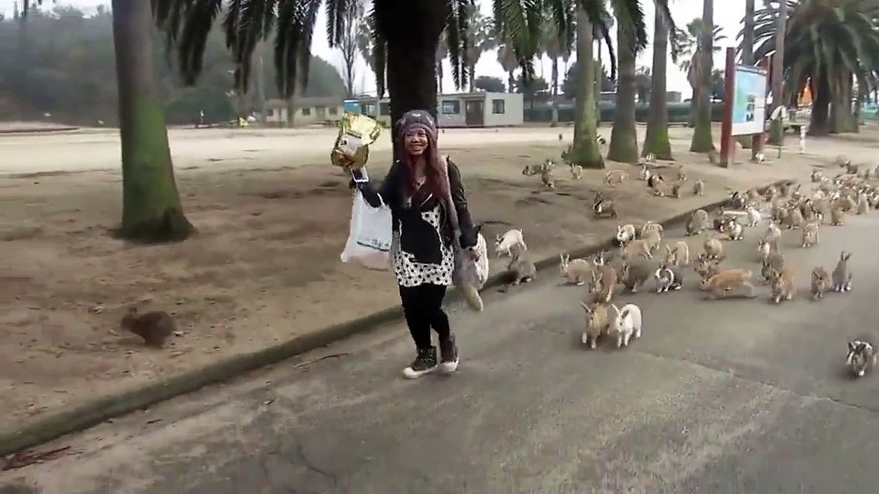 Bunnyland