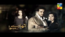 Tumhare Siwa Episode 14 Promo on HUM TV - 20 Nov 2015