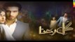Gul E Rana Episode 03-hum tv-dailymotion-21 nov 2015-sajal ali and feroz khan