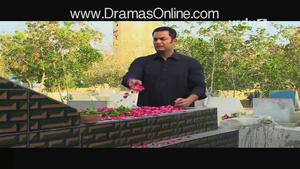 Agar Ho Sakay To Episode 24 on Urdu1 21st November 2015