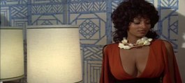 Pam Grier coffy hot scenes