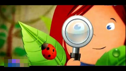 الحواس الخمسة طيور الجنة النسخة الاصلية - YouTube