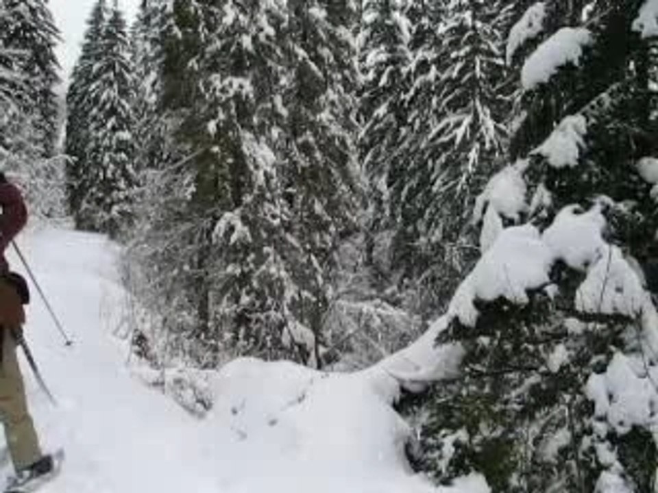 Riviere De la Crotte au Praz de liz