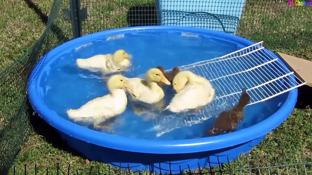 Nhạc thiếu nhi chế vui nhộn - Liên khúc thiếu nhi chế