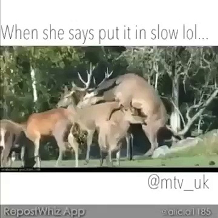 Having Fun