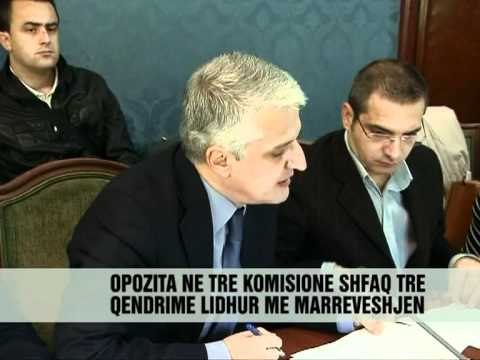Opozita 3 qëndrime për vizat - Vizion Plus - News - Lajme