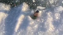 Bullet spinning on ice