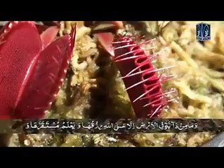 "..Zameen mein chalne wala koi Jandaar aisa nahi hai.." - Adnan Ali Abbas