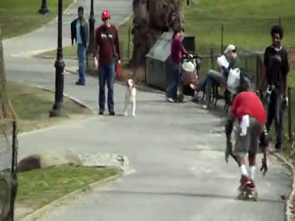 BoardSkating at the Central Park