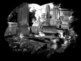 Video ginie line l'inacceptable