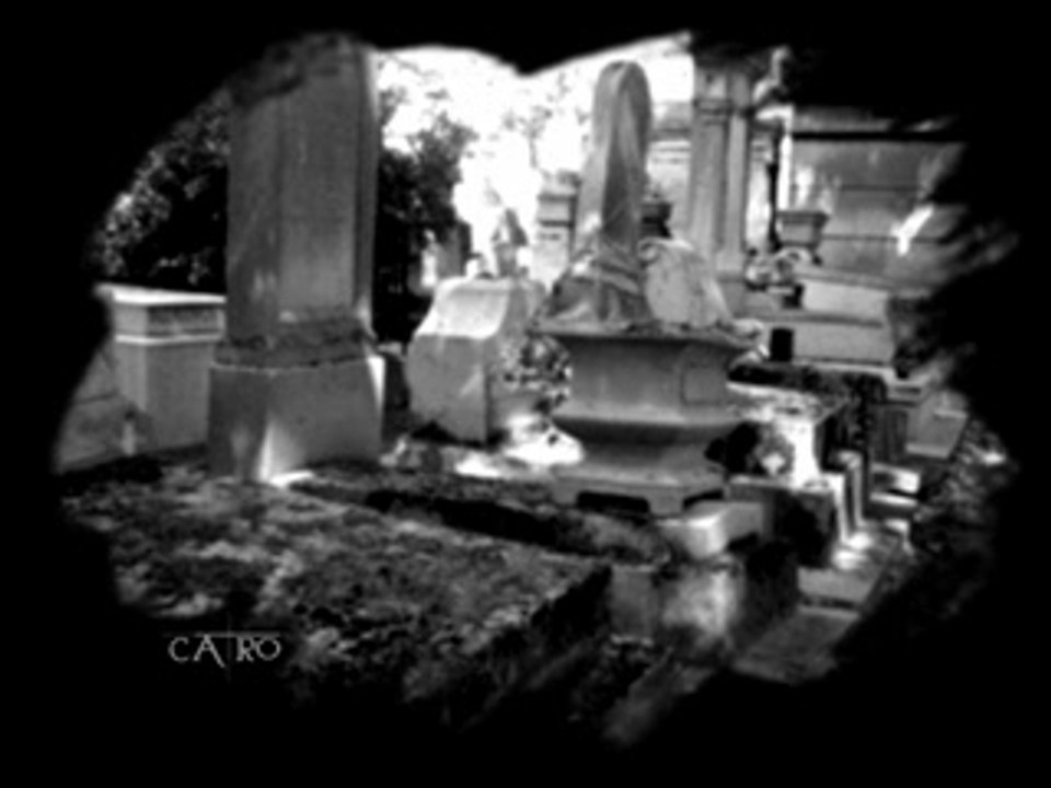 Video ginie line l'inacceptable