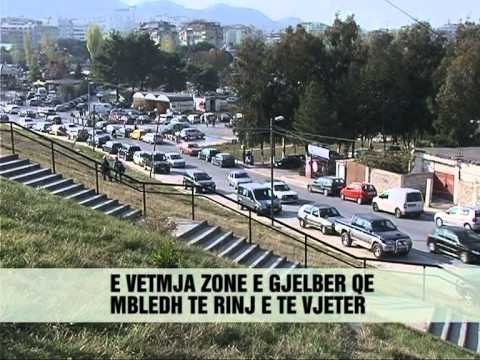 Tek liqeni artificial e kopshti botanik - Vizion Plus - News - Lajme