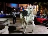 Horse Dancing on Arabian music
