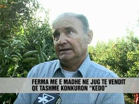 Fermat e Xares, histori suksesi - Vizion Plus - News - Lajme