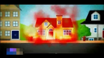 عامر مو شاطر طيور الجنة بيبي - YouTube