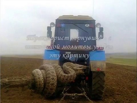 Гигантская змея на Кавказе