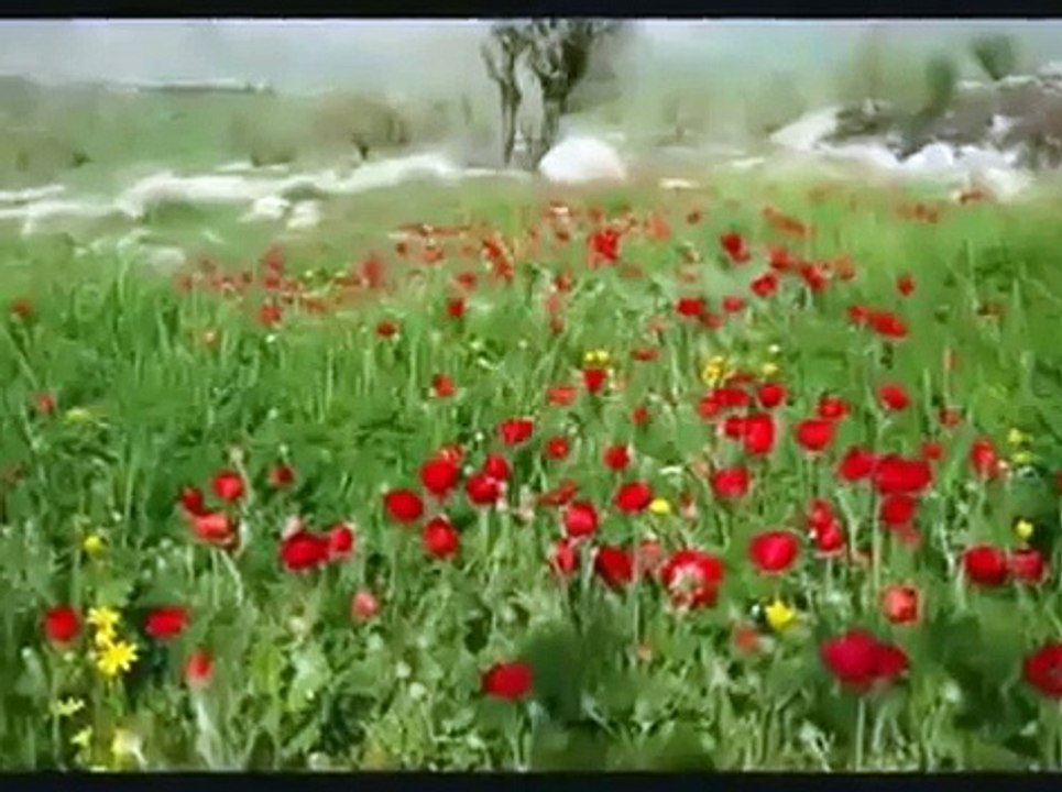 Ay Buluta Girmis Gece Yarisi Uzun Hava Kurdish Music