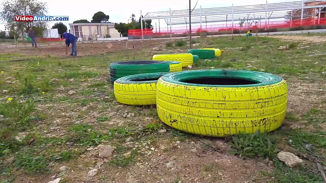 Quartiere San Valentino di Andria: nuovi alberi piantati dalle scolaresche con Legambiente