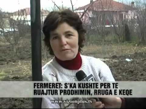 Fshati qe jeton me qepet - Vizion Plus - News - Lajme