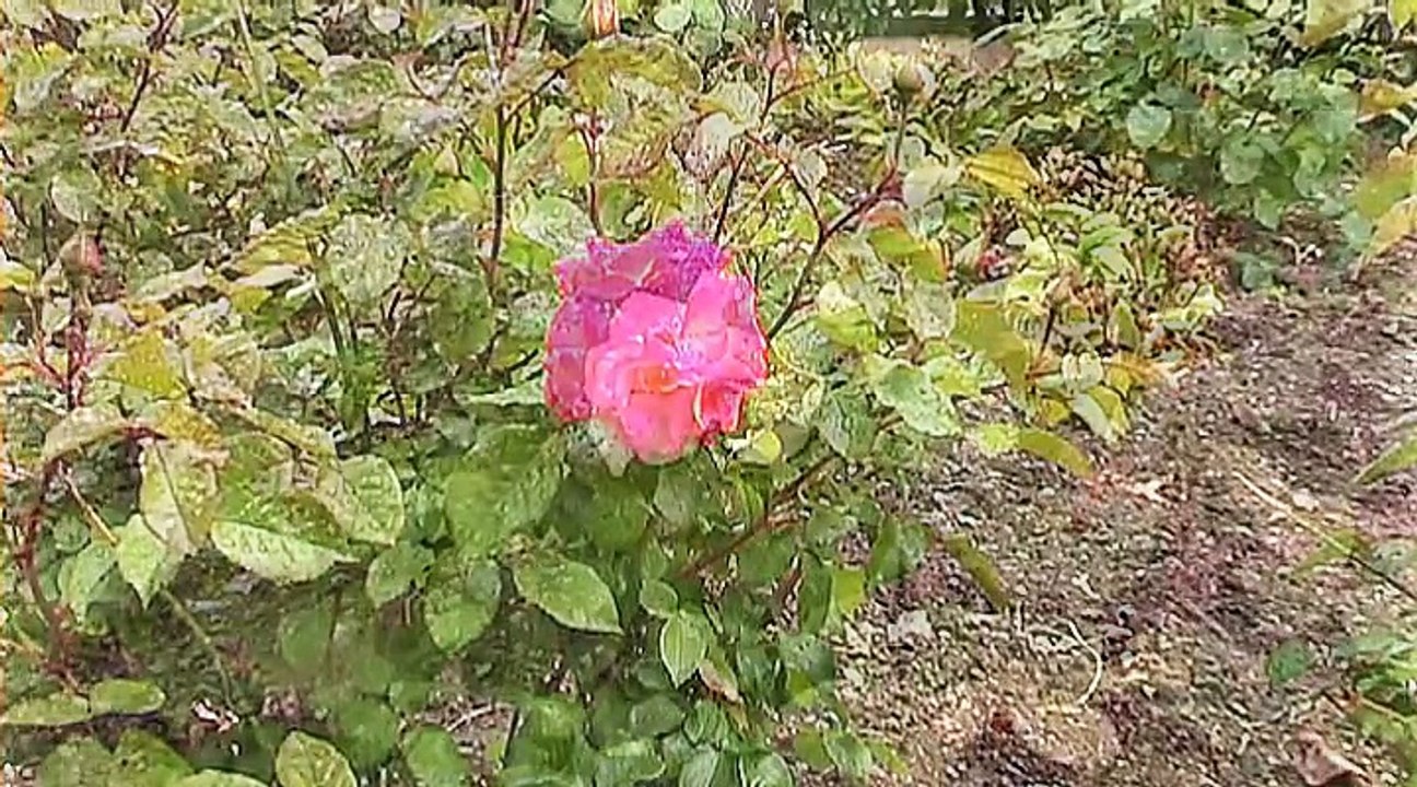 Auf großer Tour durch Mittelsachsen 2015