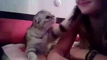 Kızı Öpmek İsteyen Kedi Final Son Video