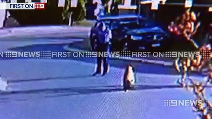 Perth police shoot dead pet dog in suburban street