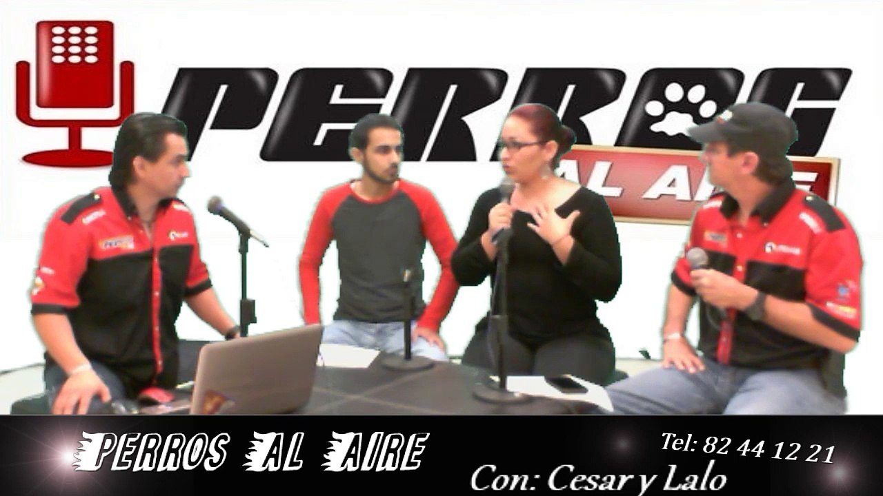 ADICIÓN AL CÓDIGO PENAL VS MALTRATO DE ANIMALES DOMÉSTICOS // PAA