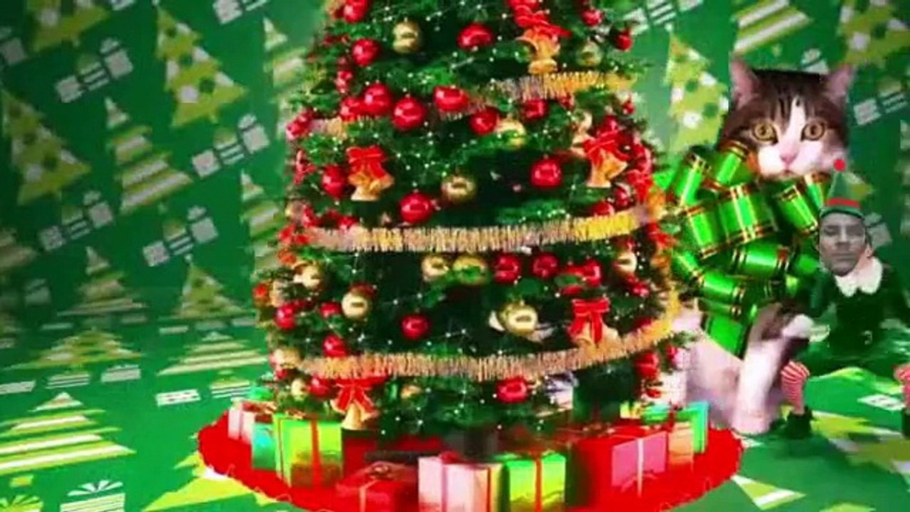 Day Gang On Umair Net Cafe