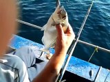 Didim Akbük Denizde Balık avı