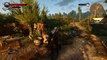 The Witcher 3: Wild Hunt Walkthrough Part 5 PS4 Xbox One No Commentary 1080p Gameplay