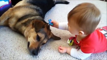 Маленькие дети и собака-сплошной позитив