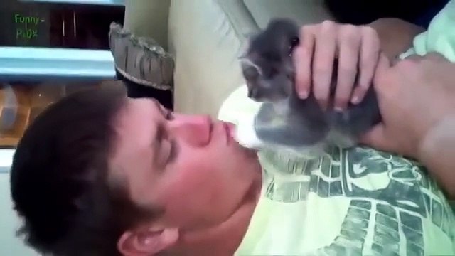 Сумасшедшие прикольные животные Смешное видео!