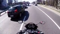 Un Motard sauve un Chien égaré sur l'Autoroute