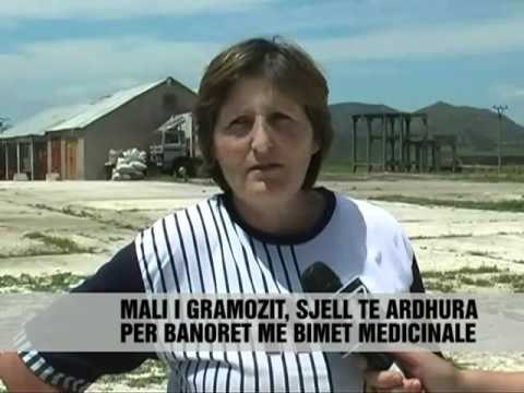 ERSEKA QE JETON ME BIME MEDICINALE - Vizion Plus - News - Lajme