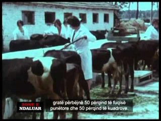 Zone e Ndaluar - 18 qershor 2012 - Vizion Plus - Dossier