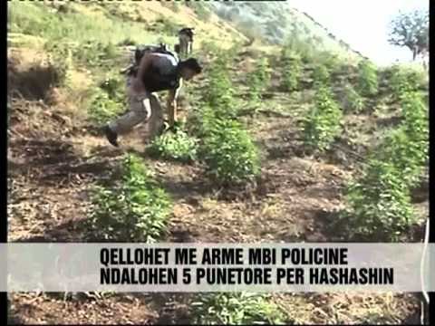 Shkëmbim zjarri ne Lazarat - Vizion Plus - News - Lajme