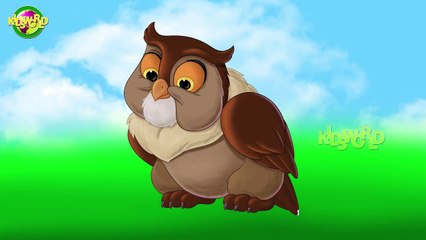 Fun & Educational Owl Finger Family Rhymes for Kids 🦉 | Cartoon Nursery Songs