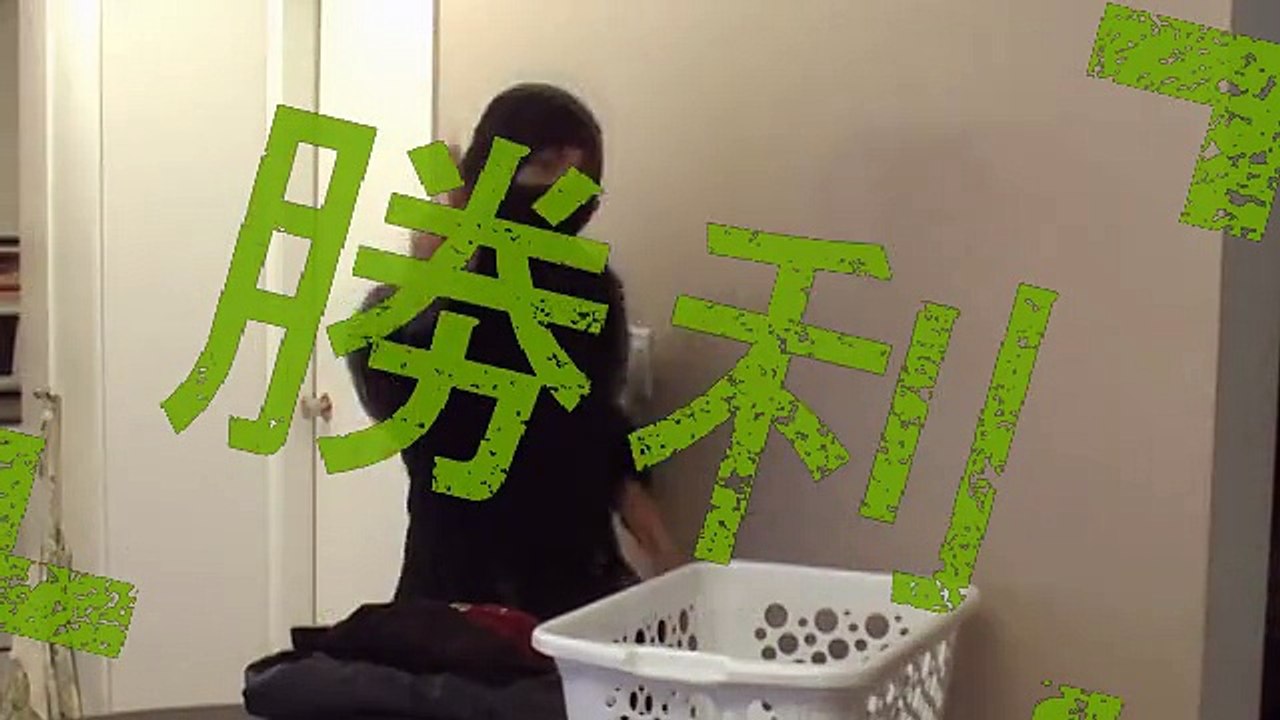 Good Ninja / Bad Ninja: Snapping Mountain (Laundry)
