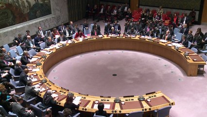 ONU autoriza ‘todas as medidas necessárias’ contra o EI