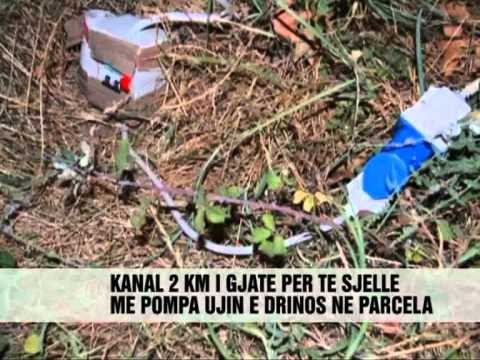 Prishet tubacioni i hashashit - Vizion Plus - News - Lajme