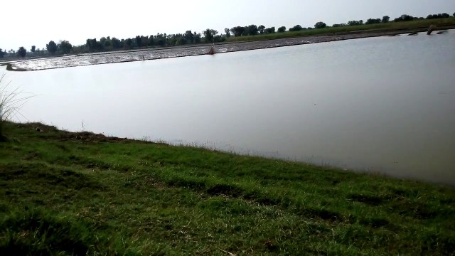 Flood In Pakistan 2015 deadly flood in River Indus at the district Layyah