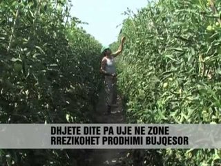 Descargar video: Frakulli zhuritet për ujë - Vizion Plus - News - Lajme