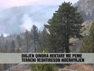 DY ZJARRE NE ERSEKE - Vizion Plus - News - Lajme