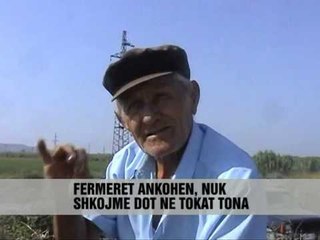 Autostrada pa mbikalime - Vizion Plus - News - Lajme