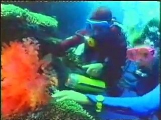 Anneka Rice goes scuba diving 2