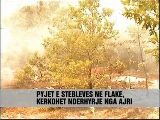 Video herunterladen: Situata e zjarreve ne vend - Vizion Plus - News - Lajme