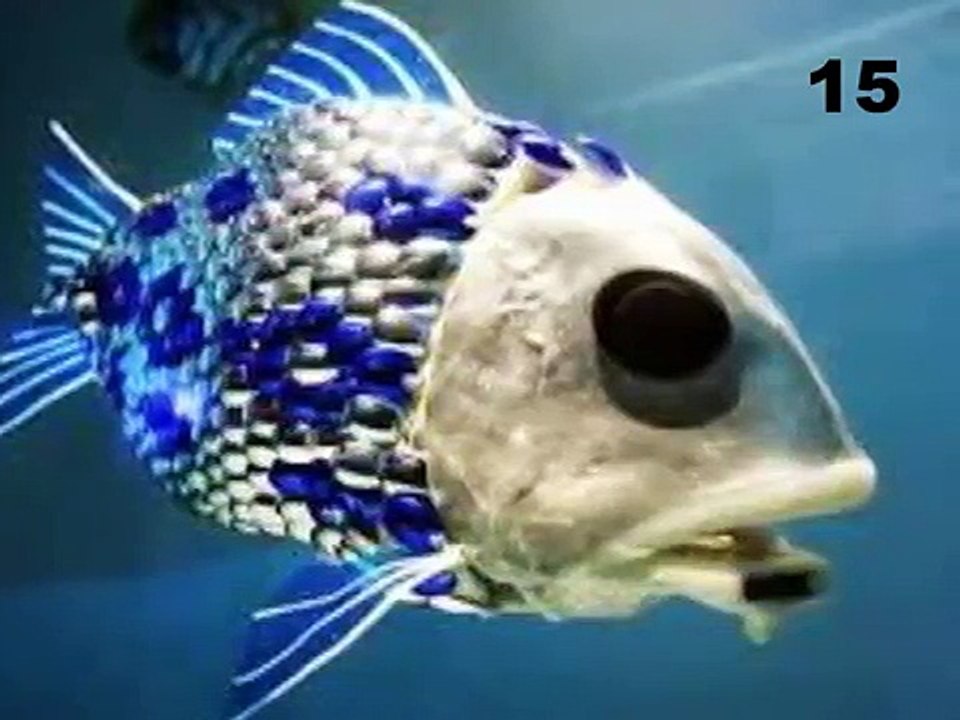 15 Amazing and Scary Deep Sea Creatures